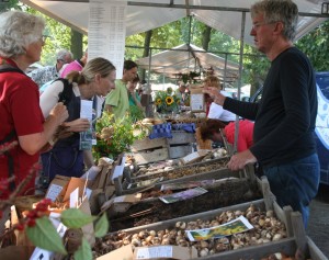 Grietmarkt biologische bloembollen